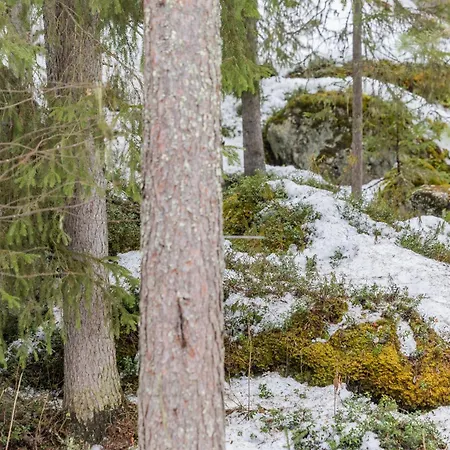 Coloria - Kotisi Rovaniemellae, Luonnollisesti Villa Rovaniemi