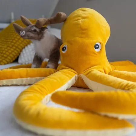 Coloria - Kotisi Rovaniemellae, Luonnollisesti Вилла