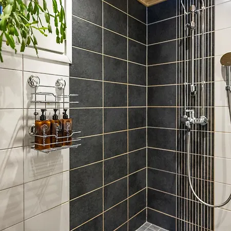 Coloria - Kotisi Rovaniemellae, Luonnollisesti Рованиеми