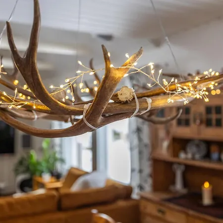 Coloria - Kotisi Rovaniemellae, Luonnollisesti Вилла