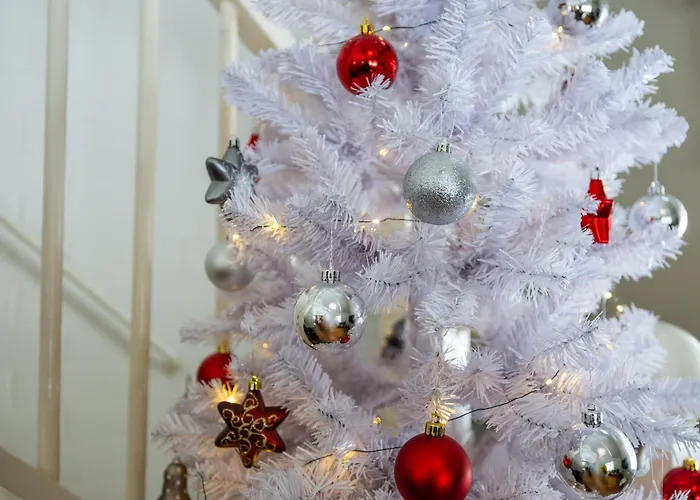 Villa Coloria - Kotisi Rovaniemellae, Luonnollisesti