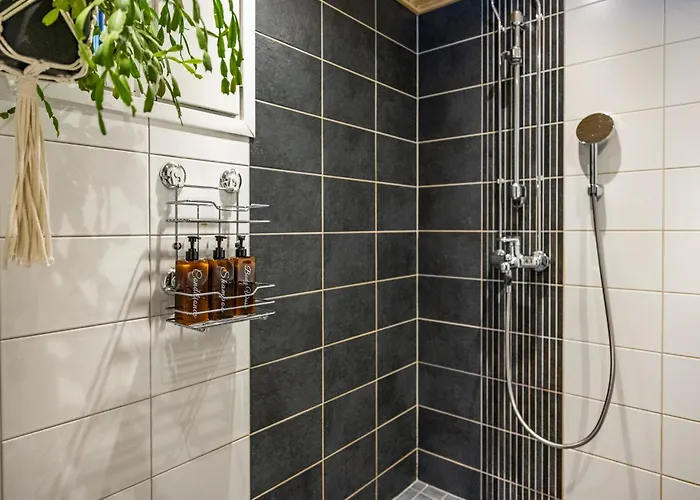 Coloria - Kotisi Rovaniemellae, Luonnollisesti Rovaniemi